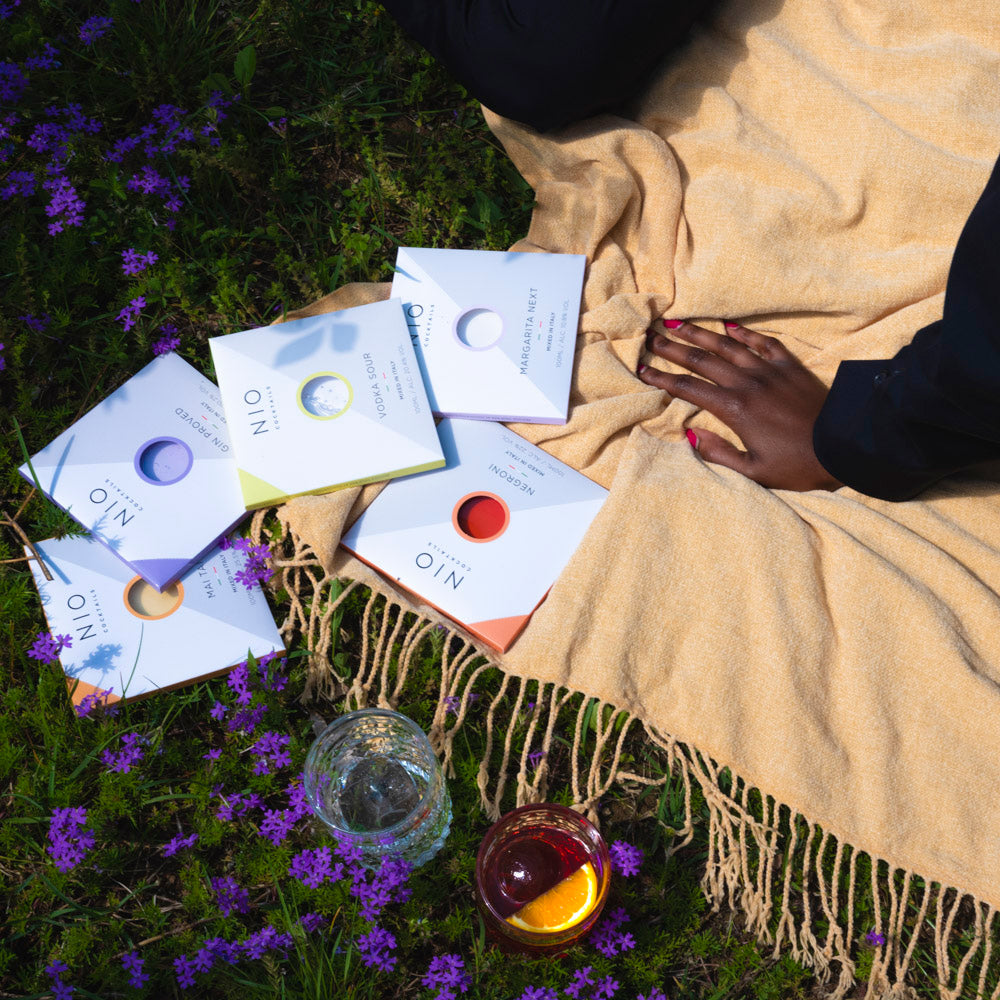 Summer Picnic Box
